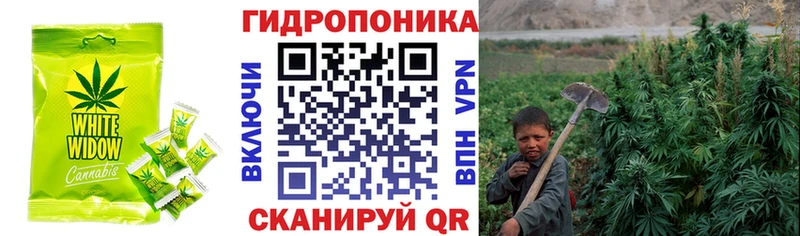 Печенье с ТГК конопля  купить наркотики цена  Озёры 
