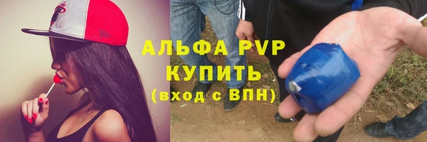 apvp Белокуриха