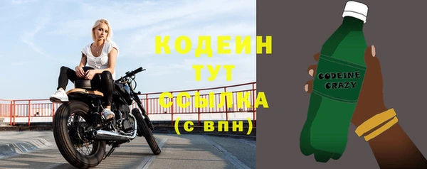 молекула духа Белоозёрский